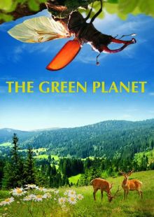 Il pianeta verde