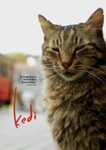 Kedi - La città dei gatti