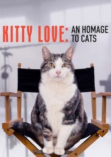 Kitty Love: Evviva i gatti!